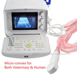 Ultrasound Scanner/Machine Micro-Convex Probe/Transducer 3D Ultrasound Scan 190891773746