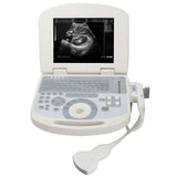 USA Ship Portable Laptop Ultrasound Machine Scanner Convex probe 3D Workstation 190891045898