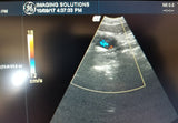 GE 8C-RS Probe / Transducer Micro-Convex