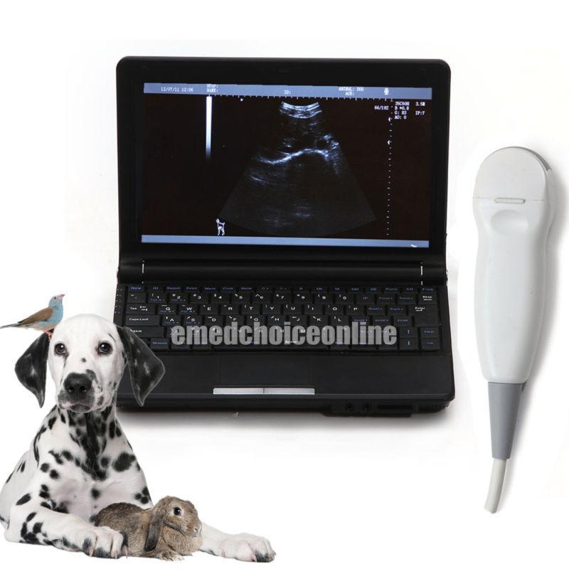 Promotion!!! VET Portable Ultrasound Scanner + VGA + 3D + 5.0 Micro_convex Probe DIAGNOSTIC ULTRASOUND MACHINES FOR SALE