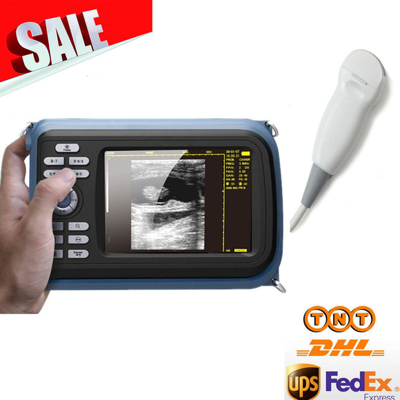 Portable Ultrasound Machine Scanner Micro-convex Probe  Human Use Sonography 190891405111