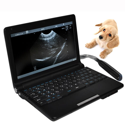 CE Veterinary Animals Laptop Machine Ultrasound Scanner Scan System Rectal Probe