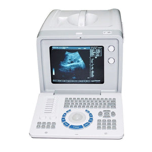 Diagnostic Machine Type B Ultrasound Scanner 3.5 Mhz Convex Curved Probe