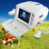 Portable Ultrasound Machine Scanner + convex probe+Free 3D Veterinary Animal cow 190891552051