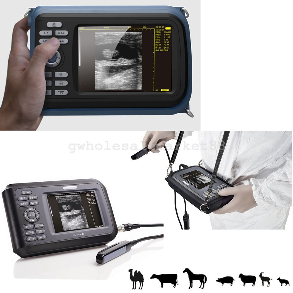 Veterinary Digital Palm Ultrasound Scanner Animal Rectal Probe +Case Dogs Pigs
