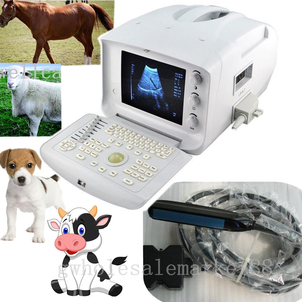 New Portable Vet Veterinary Ultrasound Scanner Machine + Rectal Probe + 3D Free 190891826916 DIAGNOSTIC ULTRASOUND MACHINES FOR SALE