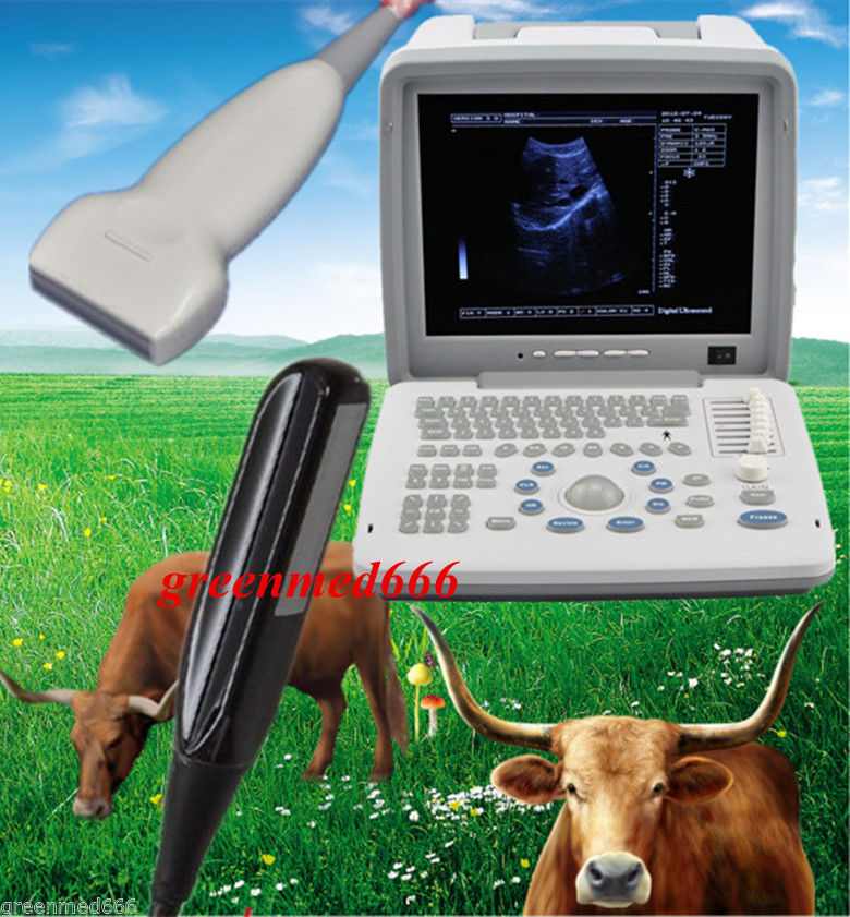VET Veterinary Ultrasound Scanner Digital Machine+Liner&Rectal Probe 3D HorseCow 190891595157 DIAGNOSTIC ULTRASOUND MACHINES FOR SALE