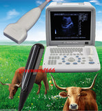 VET Veterinary Ultrasound Scanner Digital Machine+Liner&Rectal Probe 3D HorseCow 190891595157