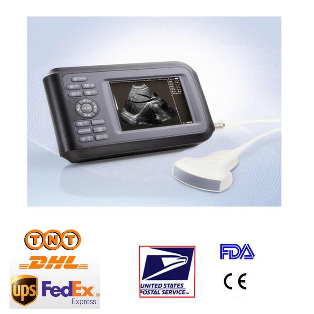 Handheld Ultrasound Scanner/Machine Convex Probe Abdominal Ultrasound Human Sale 190891466976 DIAGNOSTIC ULTRASOUND MACHINES FOR SALE