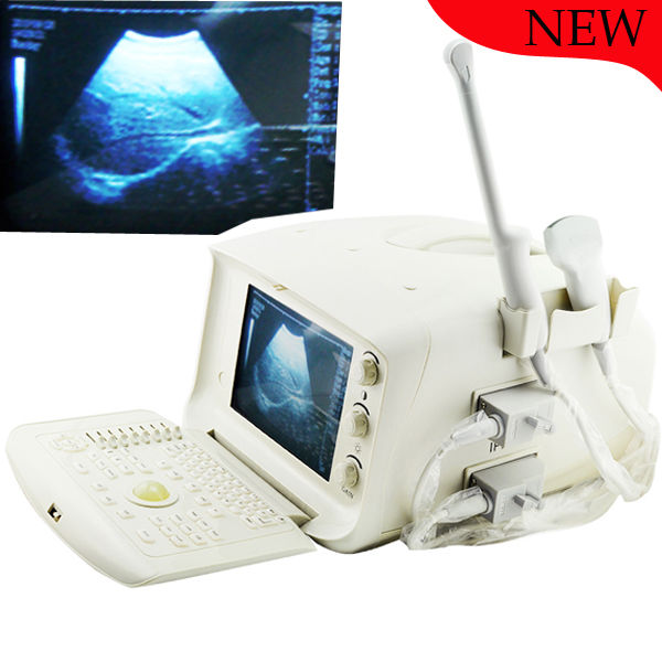 Medical Ultrasound Scanner Machine System CE, Convex + Transvaginal 2 Probe 3D 190891052773 DIAGNOSTIC ULTRASOUND MACHINES FOR SALE