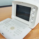 Portable Digital Ultrasound Scanner Machine Veterinary Rectal Probe +3D Kit 190891819789