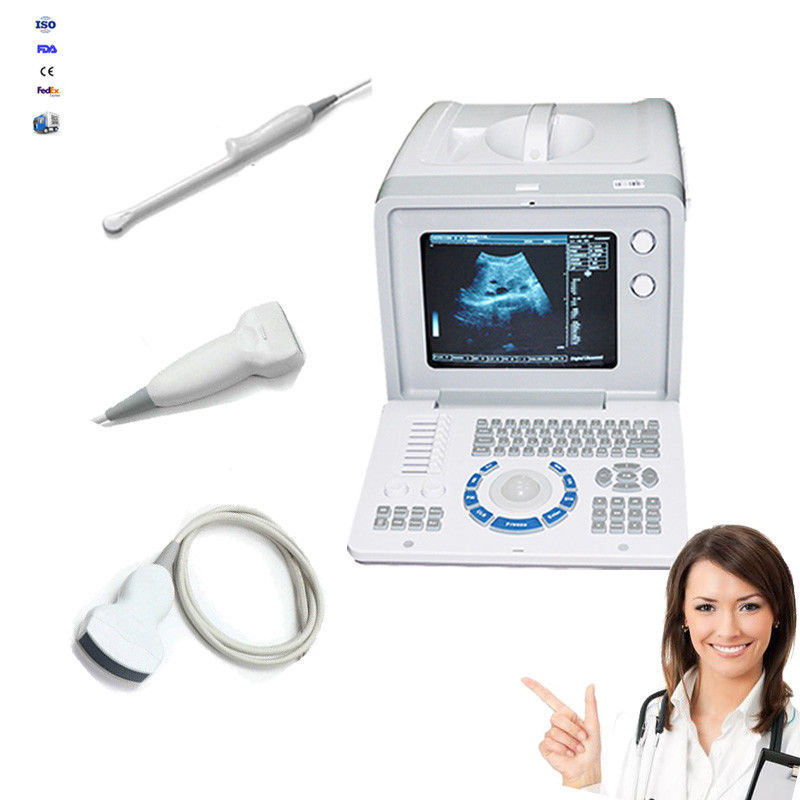 New Digital Ultrasound Scanner Machine +Transvaginal,Convex,Linear 3 Probes + 3D 190891973658 DIAGNOSTIC ULTRASOUND MACHINES FOR SALE